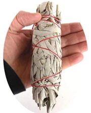 Chakra Palace 5 White Sage Smudge Sticks 4+ inches Each and 5 Palo Santo Wood 3 inches Each with Instructions